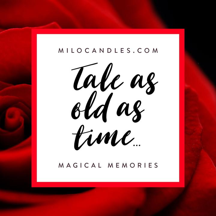 Tale As Old As Time Diffuser