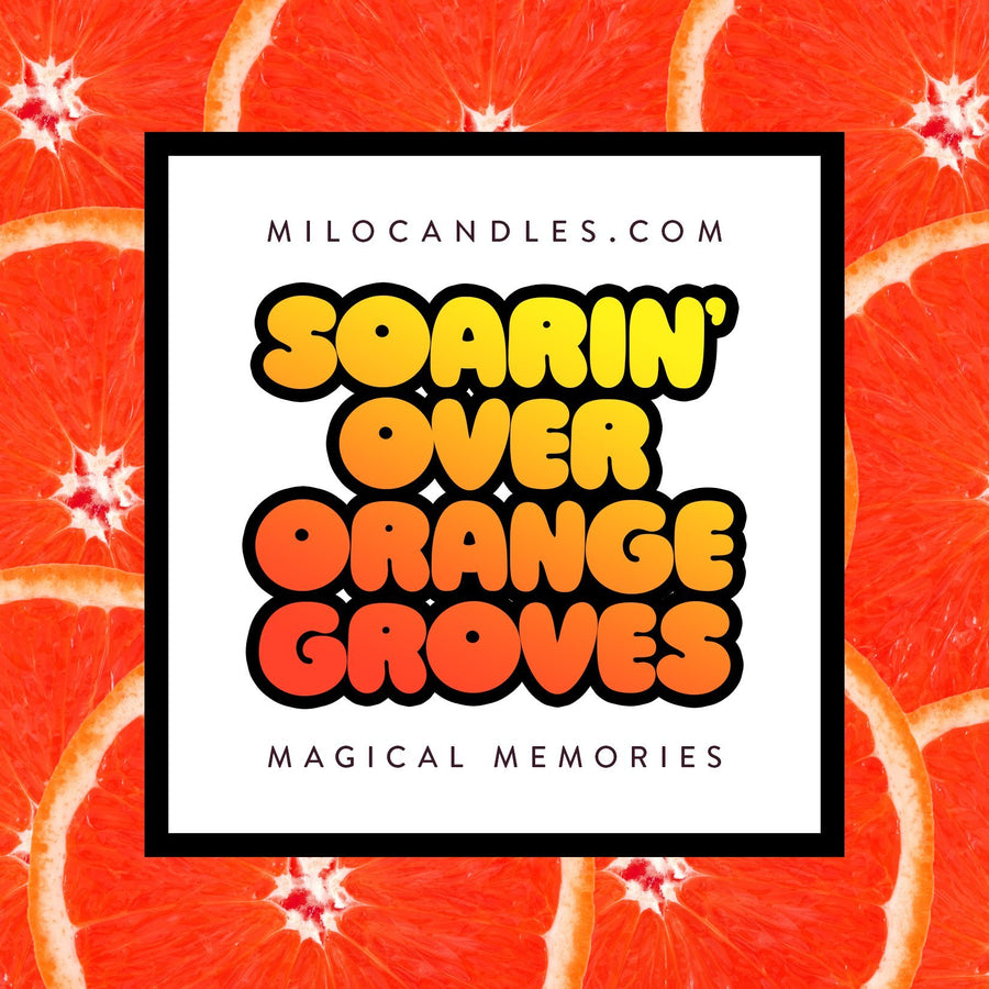 soarin over orange groves