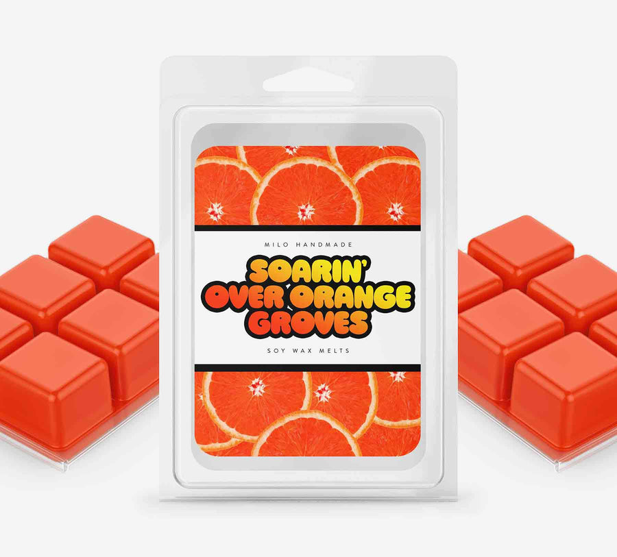 Soarin Over Orange Groves Wax Melts