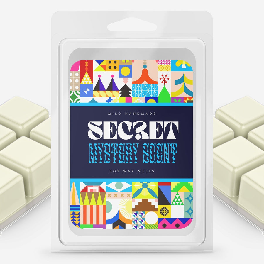 Secret Magical Mystery Scent Subscription Box - Wax Melts