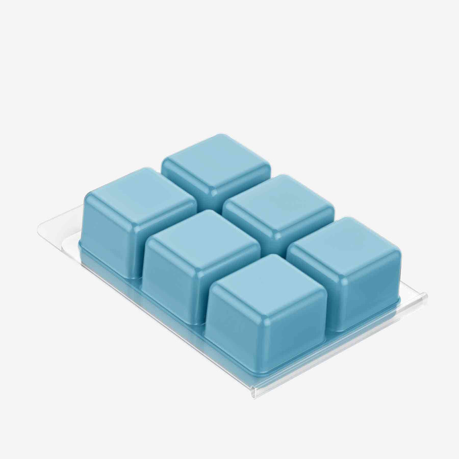 Wild Ocean Sea Spray Wax Melts
